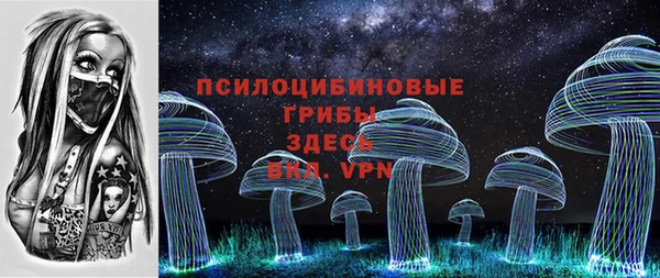 ПСИЛОЦИБИНОВЫЕ ГРИБЫ Сясьстрой
