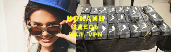 ПСИЛОЦИБИНОВЫЕ ГРИБЫ Сясьстрой