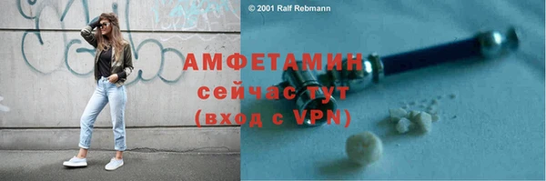 ПСИЛОЦИБИНОВЫЕ ГРИБЫ Сясьстрой