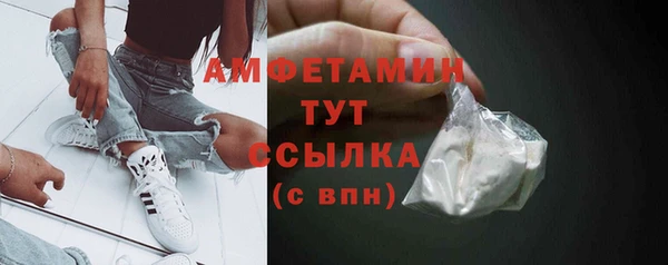 ПСИЛОЦИБИНОВЫЕ ГРИБЫ Сясьстрой