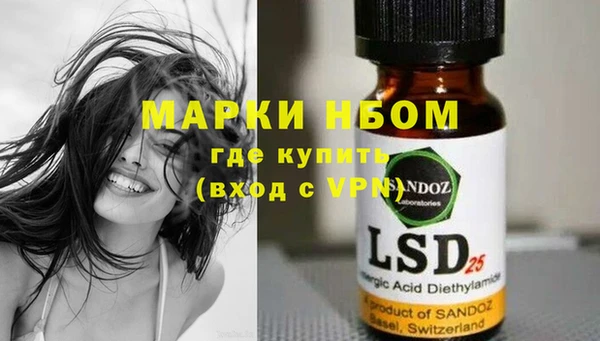 ПСИЛОЦИБИНОВЫЕ ГРИБЫ Сясьстрой