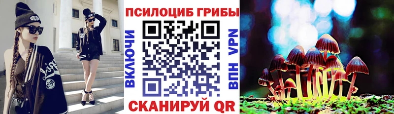 продажа наркотиков  Череповец  blacksprut ссылка  Галлюциногенные грибы Psilocybe 