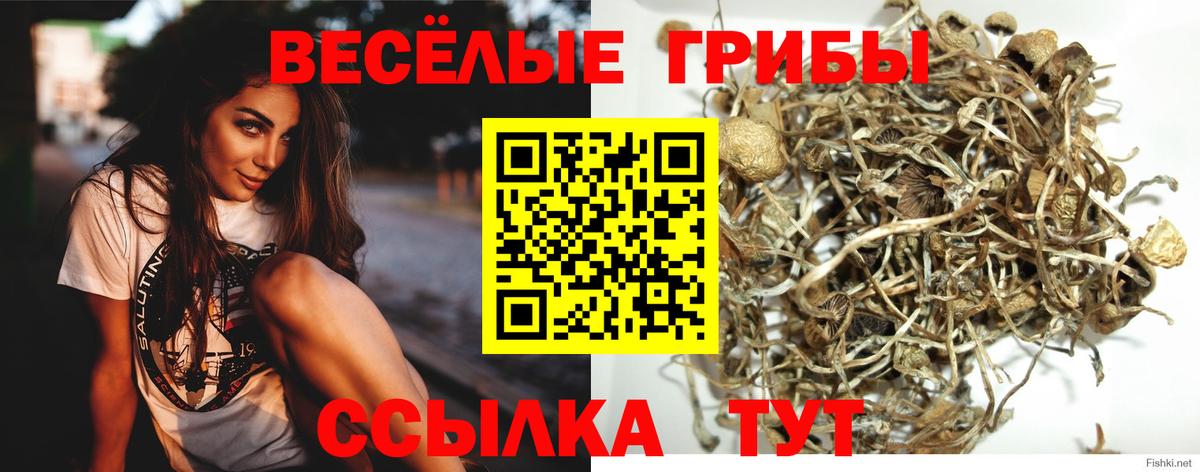Псилоцибиновые грибы ЛСД  Галлюциногенные грибы GOLDEN TEACHER  Вход с VPN  закладки  Череповец 