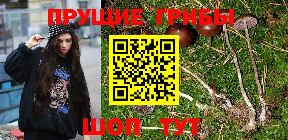 Псилоцибиновые грибы ЛСД  Череповец 